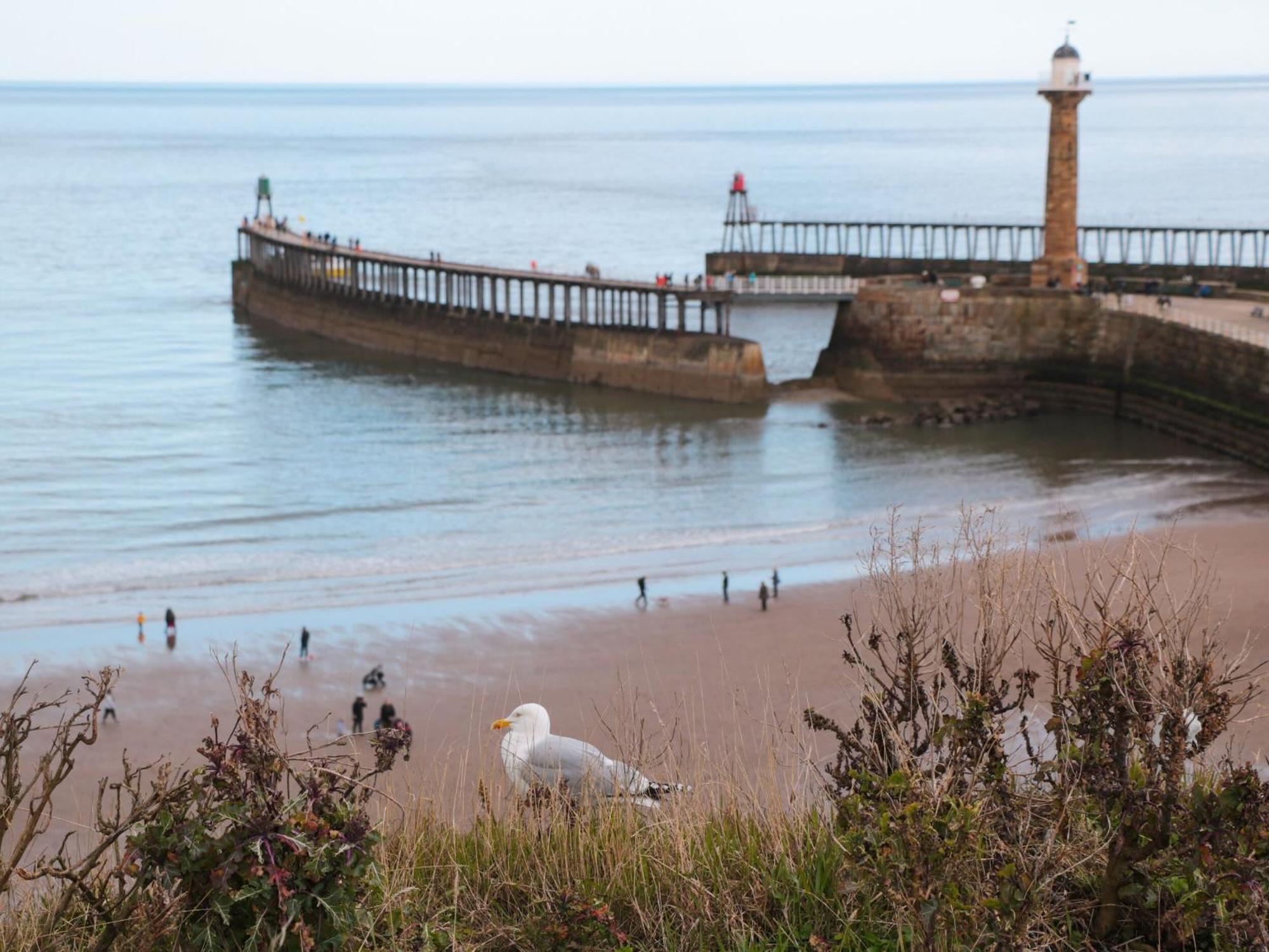 Rosemary Cottage Whitby Dış mekan fotoğraf